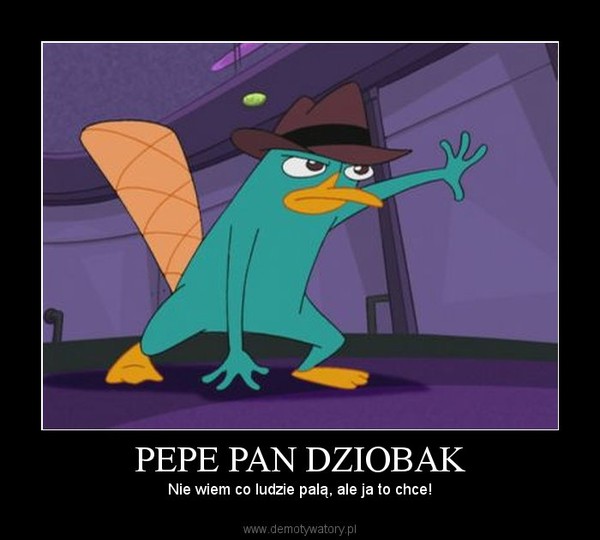Bild zu Pepe Pan