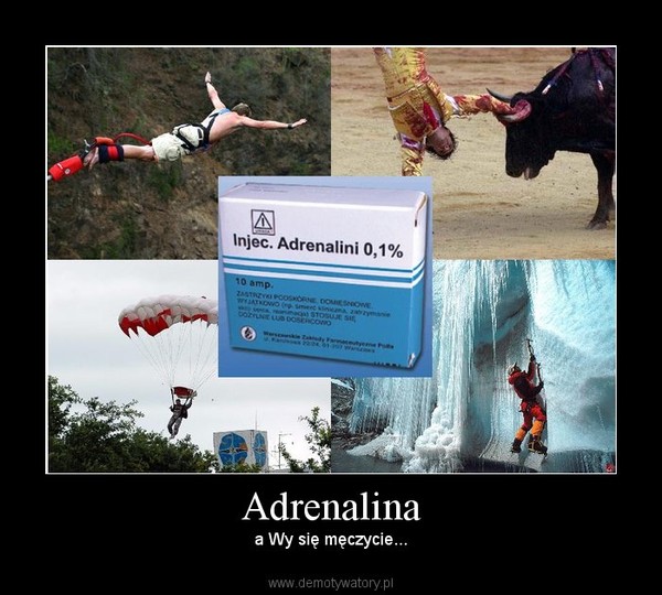 Adrenalina – A wy się tak męczycie... 
