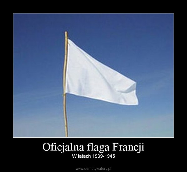 Oficjalna flaga Francji