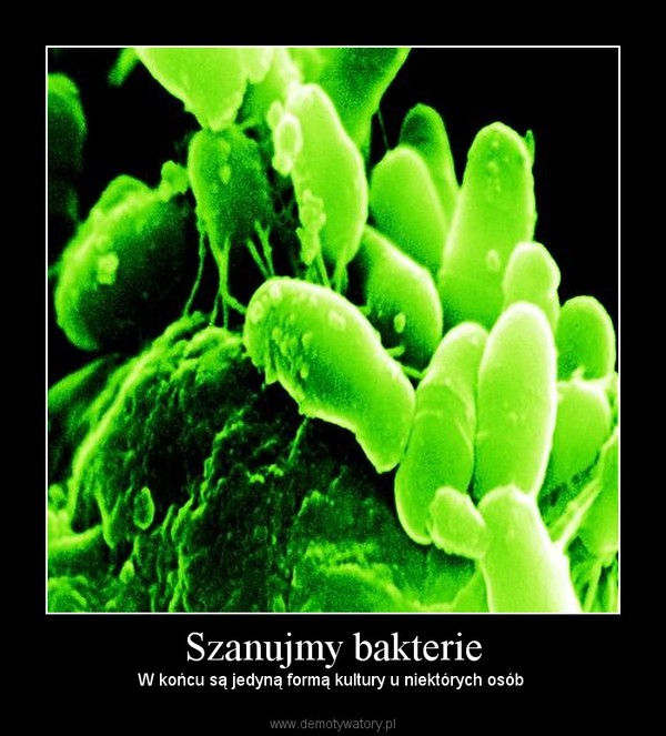 Szanujmy bakterie – W końcu są jedyną formą kultury u niektórych osób  
