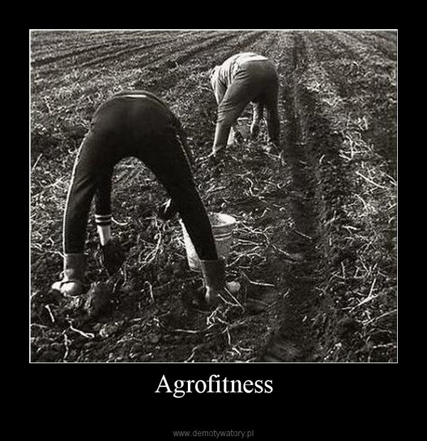 Agrofitness