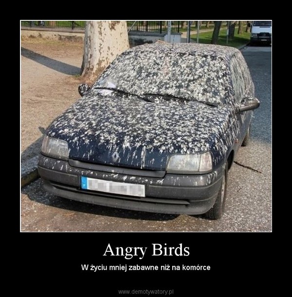 Angry Birds – W życiu mniej zabawne niż na komórce 