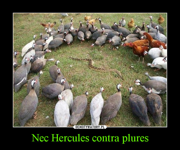 Nec Hercules contra plures