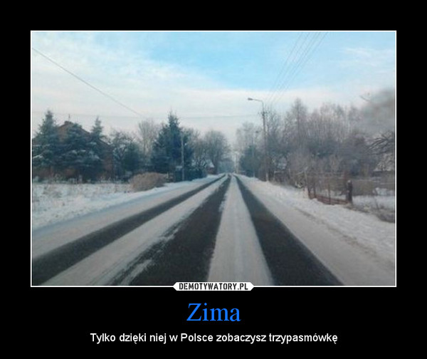 Zima – Tylko dzięki niej w Polsce zobaczysz trzypasmówkę 