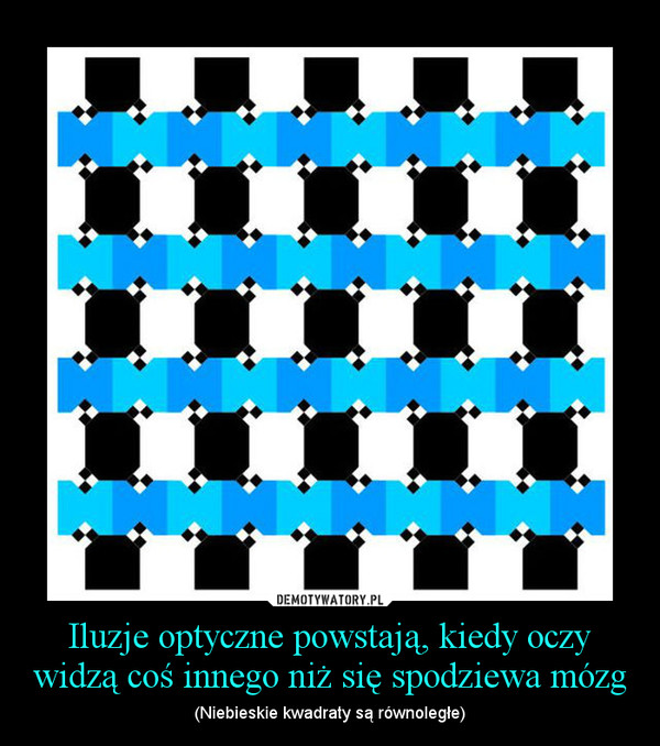 Iluzje optyczne powstają, kiedy oczy widzą coś innego niż się spodziewa mózg – (Niebieskie kwadraty są równoległe) 