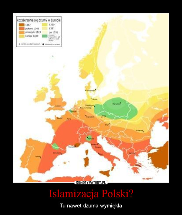 Islamizacja Polski? – Tu nawet dżuma wymiękła 