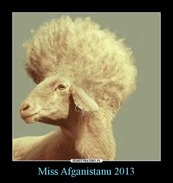 Miss Afganistanu 2013 –  