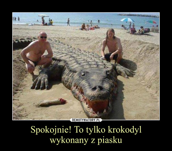 Spokojnie! To tylko krokodylwykonany z piasku –  