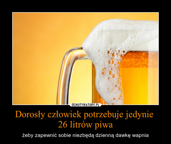 Dorosły człowiek potrzebuje jedynie 
26 litrów piwa