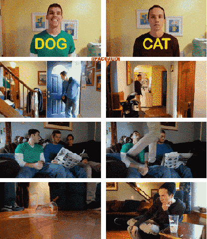 Psy vs. koty – Lepszego porównania nie widziałam 