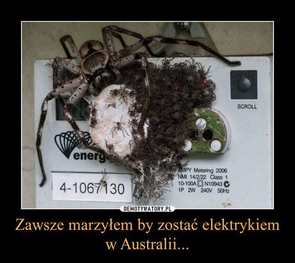 Zawsze marzyłem by zostać elektrykiem w Australii... –  