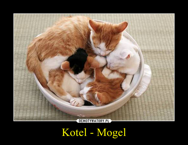 Kotel - Mogel –  