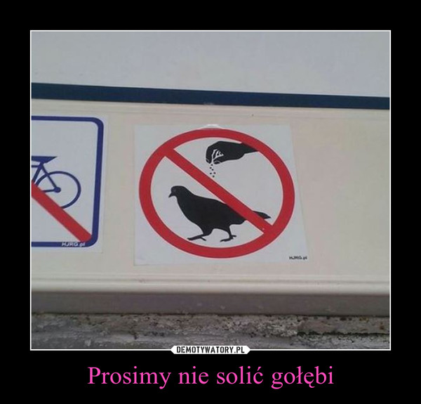 Prosimy nie solić gołębi –  