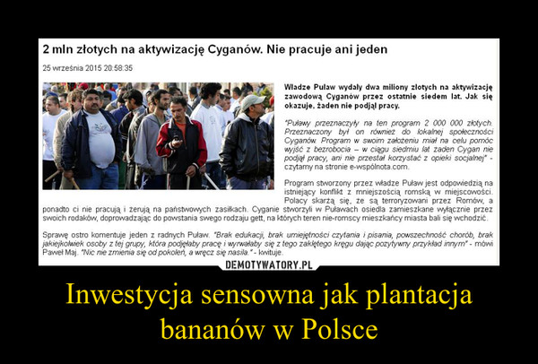 Inwestycja sensowna jak plantacja bananów w Polsce –  