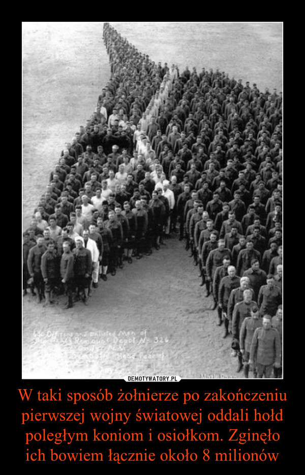 W taki sposób żołnierze po zakończeniu pierwszej wojny światowej oddali hołd poległym koniom i osiołkom. Zginęło ich bowiem łącznie około 8 milionów