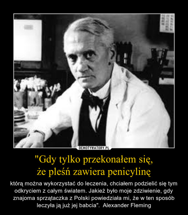 "Gdy tylko przekonałem się,że pleśń zawiera penicylinę – którą można wykorzystać do leczenia, chciałem podzielić się tym odkryciem z całym światem. Jakież było moje zdziwienie, gdy znajoma sprzątaczka z Polski powiedziała mi, że w ten sposób leczyła ją już jej babcia".  Alexander Fleming 