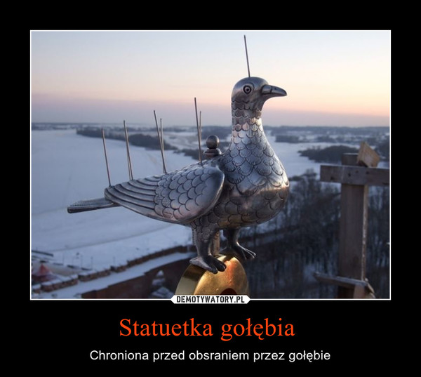 Statuetka gołębia  – Chroniona przed obsraniem przez gołębie 
