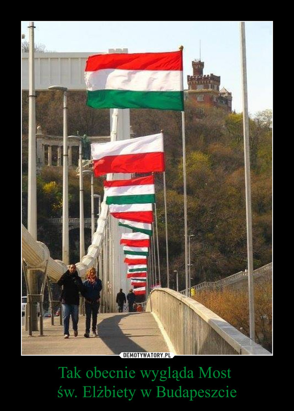 Tak obecnie wygląda Most św. Elżbiety w Budapeszcie –  