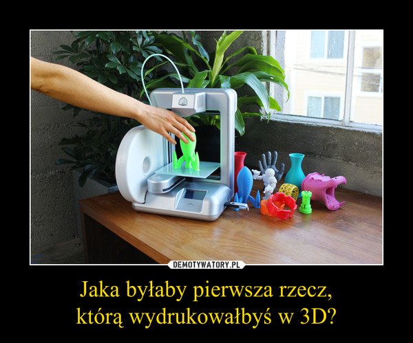 Jaka byłaby pierwsza rzecz,którą wydrukowałbyś w 3D? –  