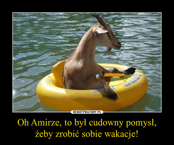 Oh Amirze, to był cudowny pomysł, żeby zrobić sobie wakacje! –  