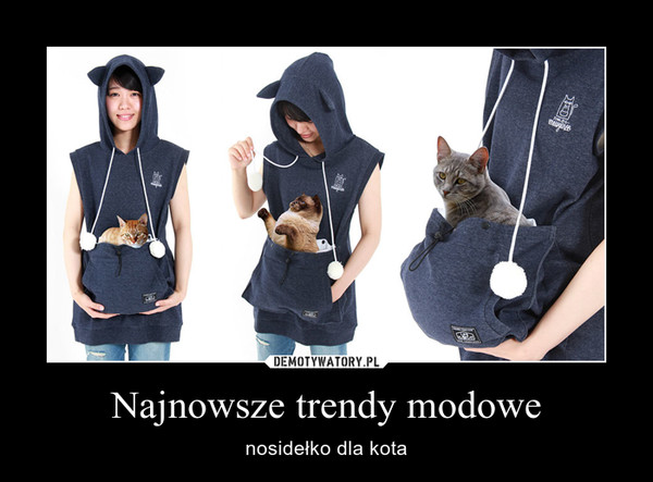 Najnowsze trendy modowe – nosidełko dla kota 
