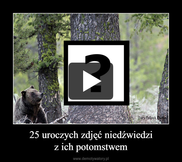 25 uroczych zdjęć niedźwiedziz ich potomstwem –  