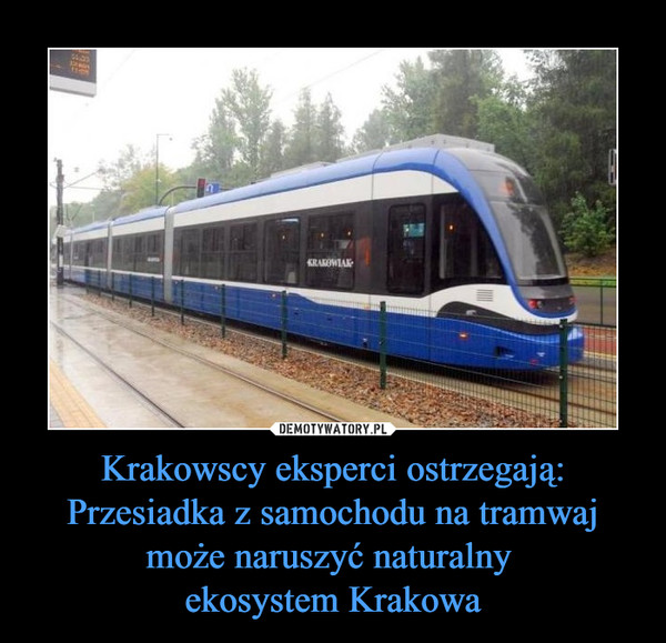 Krakowscy eksperci ostrzegają:
Przesiadka z samochodu na tramwaj może naruszyć naturalny 
ekosystem Krakowa