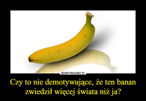 Czy to nie demotywujące, że ten banan zwiedził więcej świata niż ja? –  