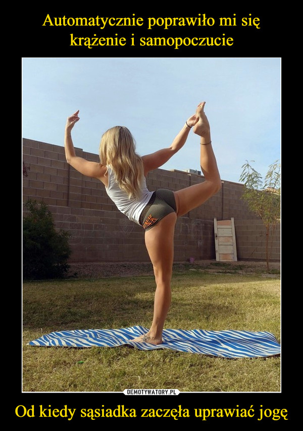Od kiedy sąsiadka zaczęła uprawiać jogę –  