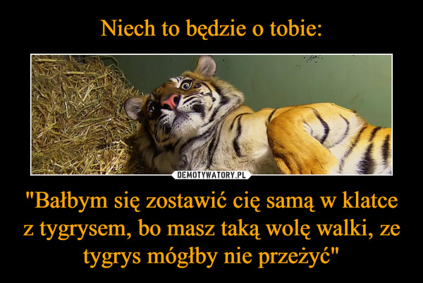 "Bałbym się zostawić cię samą w klatce z tygrysem, bo masz taką wolę walki, ze tygrys mógłby nie przeżyć" –  