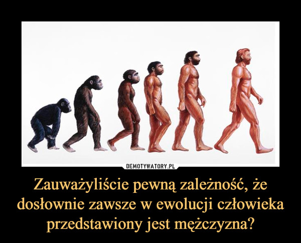 Zauważyliście pewną zależność, że dosłownie zawsze w ewolucji człowieka przedstawiony jest mężczyzna? –  