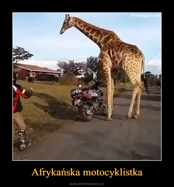 Afrykańska motocyklistka –  