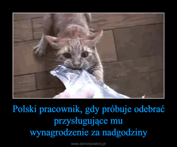 Polski pracownik, gdy próbuje odebrać przysługujące muwynagrodzenie za nadgodziny –  