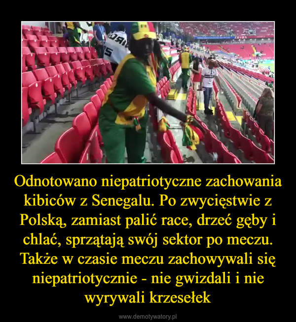 Odnotowano niepatriotyczne zachowania kibiców z Senegalu. Po zwycięstwie z Polską, zamiast palić race, drzeć gęby i chlać, sprzątają swój sektor po meczu. Także w czasie meczu zachowywali się niepatriotycznie - nie gwizdali i nie wyrywali krzesełek –  