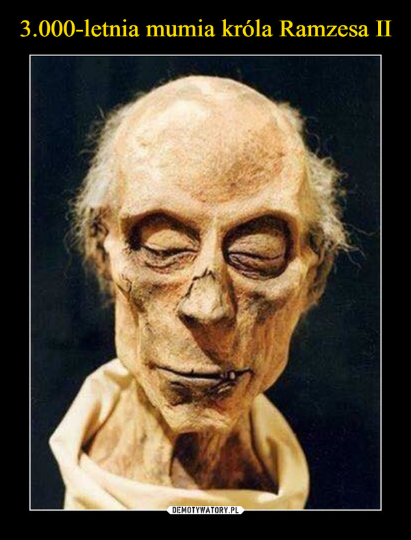 3.000-letnia mumia króla Ramzesa II