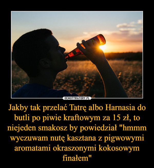 Jakby tak przelać Tatrę albo Harnasia do butli po piwie kraftowym za 15 zł, to niejeden smakosz by powiedział "hmmm wyczuwam nutę kasztana z pigwowymi aromatami okraszonymi kokosowym finałem"