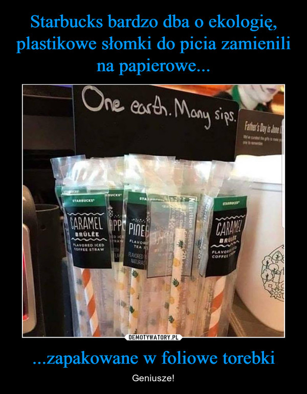 Starbucks bardzo dba o ekologię, plastikowe słomki do picia zamienili na papierowe... ...zapakowane w foliowe torebki