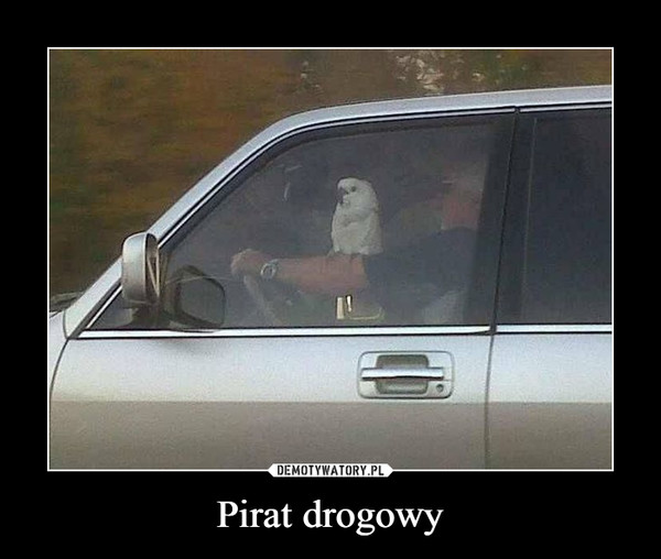 Pirat drogowy –  