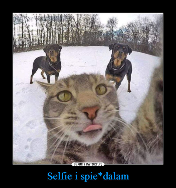 Selfie i spie*dalam –  