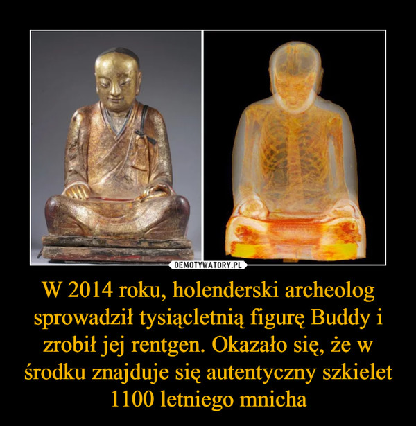 W 2014 roku, holenderski archeolog sprowadził tysiącletnią figurę Buddy i zrobił jej rentgen. Okazało się, że w środku znajduje się autentyczny szkielet 1100 letniego mnicha –  