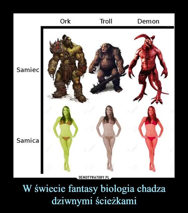 W świecie fantasy biologia chadza dziwnymi ścieżkami –  Ork Troll Demon Samiec Samica