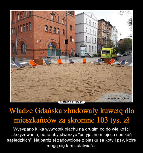 Władze Gdańska zbudowały kuwetę dla mieszkańców za skromne 103 tys. zł