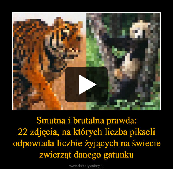 Smutna i brutalna prawda:
22 zdjęcia, na których liczba pikseli odpowiada liczbie żyjących na świecie zwierząt danego gatunku
