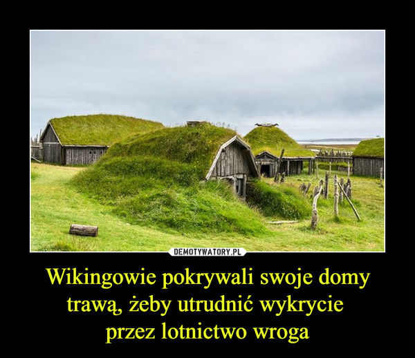 Wikingowie pokrywali swoje domy trawą, żeby utrudnić wykrycie przez lotnictwo wroga –  