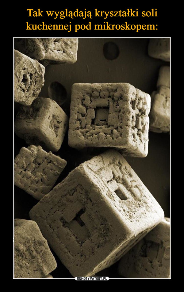 Tak wyglądają kryształki soli kuchennej pod mikroskopem: