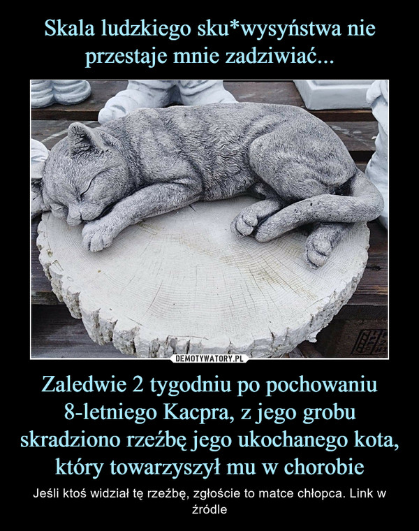 Zaledwie 2 tygodniu po pochowaniu 8-letniego Kacpra, z jego grobu skradziono rzeźbę jego ukochanego kota, który towarzyszył mu w chorobie – Jeśli ktoś widział tę rzeźbę, zgłoście to matce chłopca. Link w źródle 