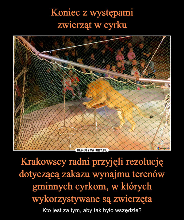 Krakowscy radni przyjęli rezolucję dotyczącą zakazu wynajmu terenów gminnych cyrkom, w których wykorzystywane są zwierzęta – Kto jest za tym, aby tak było wszędzie? 