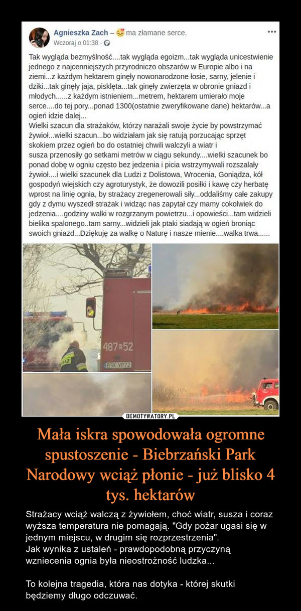 Mała iskra spowodowała ogromne spustoszenie - Biebrzański Park Narodowy wciąż płonie - już blisko 4 tys. hektarów