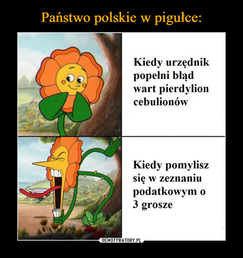 Państwo polskie w pigułce: