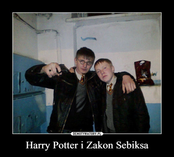 Harry Potter i Zakon Sebiksa